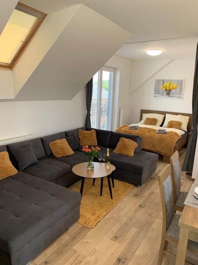 Cozy 2-Bedroom Vacation Apartment With Entire Top Floor Gaj  Ngoại thất bức ảnh